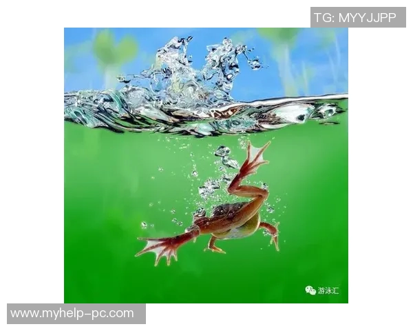 蛙泳技术提升的全面策略与训练方法解析